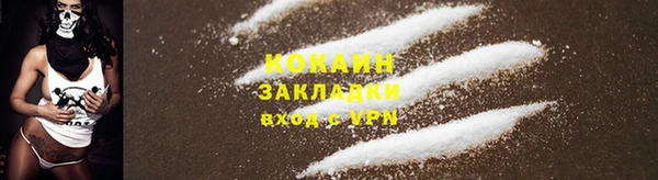 не бодяженный Магас