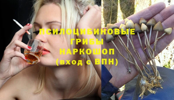 не бодяженный Магас